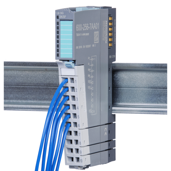 Strain gauge weighing module