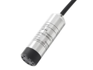 HPT604-H Water Level Sensor with Economical Model